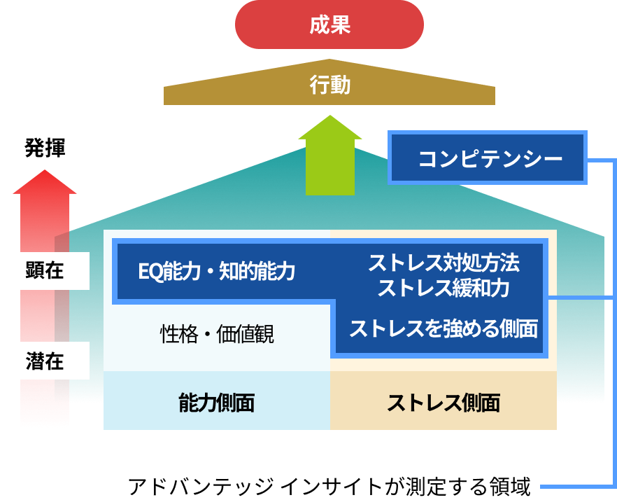 アドバンテッジ インサイト3が測定する領域