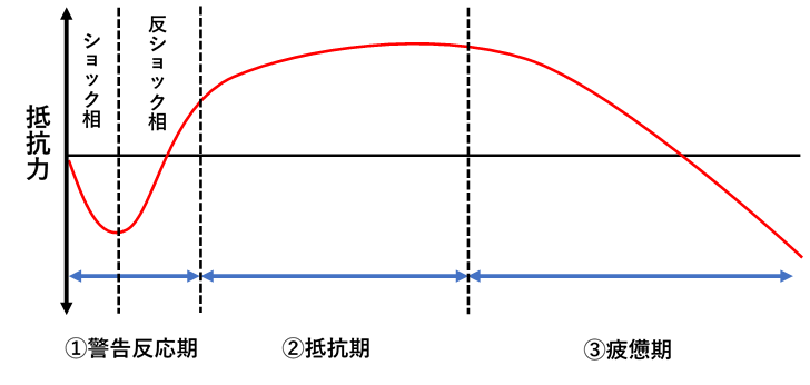 汎適応症候群の時間的経過に関するグラフ