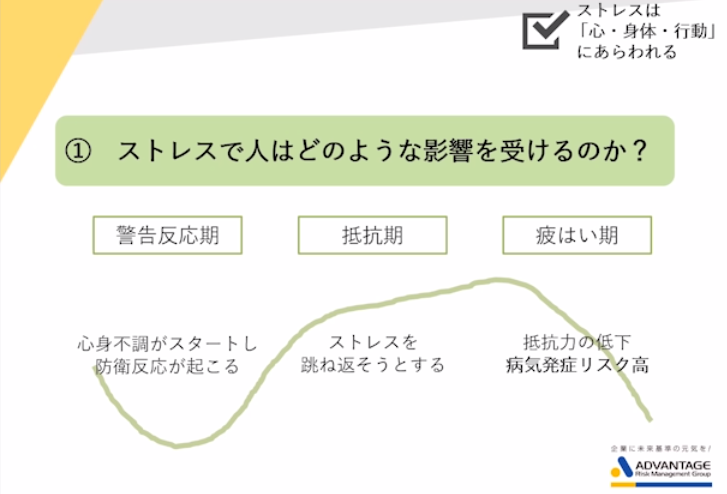 「ストレスでひとはどのような影響を受けるのか？」について時期ごとにまとめたイメージ図