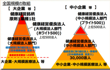 大企業・中小企業の健康経営銘柄企業の割合に関する図