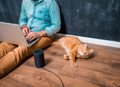 床に座ってパソコンを操作する男性と寝そべる猫