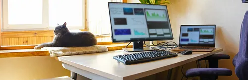 デスクトップPCと窓辺にいる猫