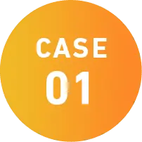 CASE 01