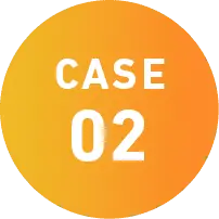 CASE 02